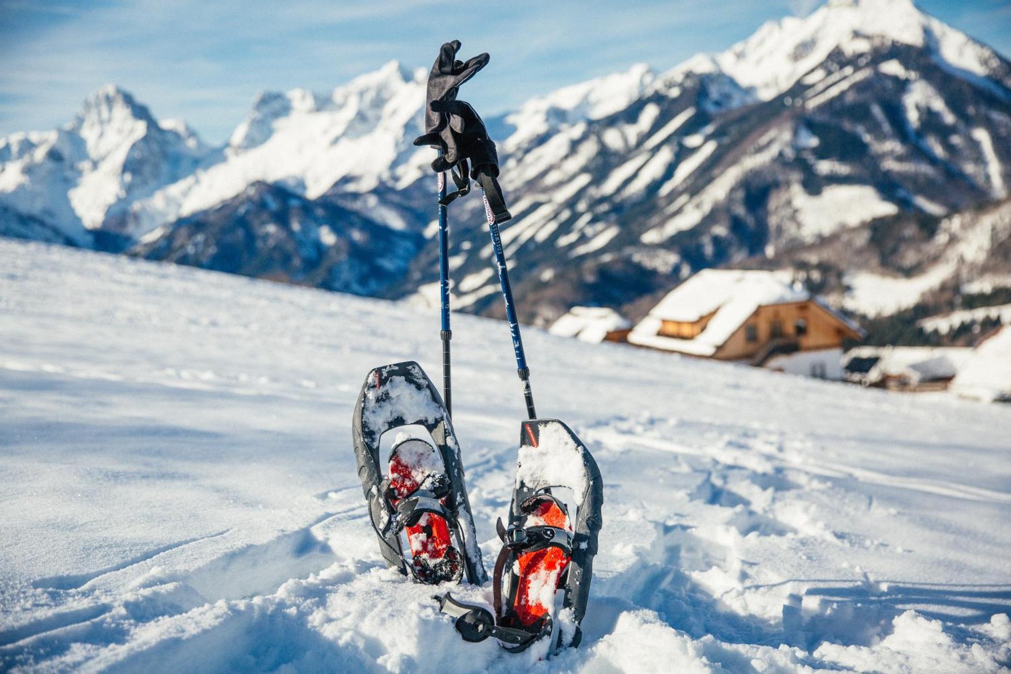 Almresort Baumschlagerberg Vorderstoder Bagian luar foto